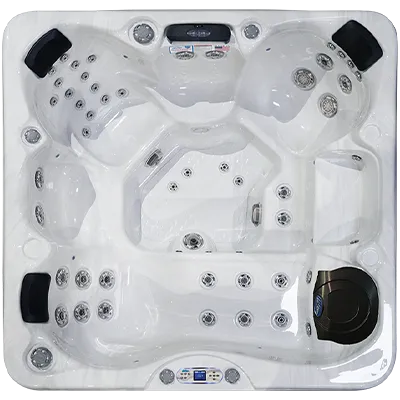 Avalon EC-849L hot tubs for sale in Greenwood