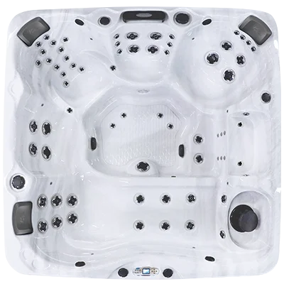 Avalon EC-867L hot tubs for sale in Greenwood